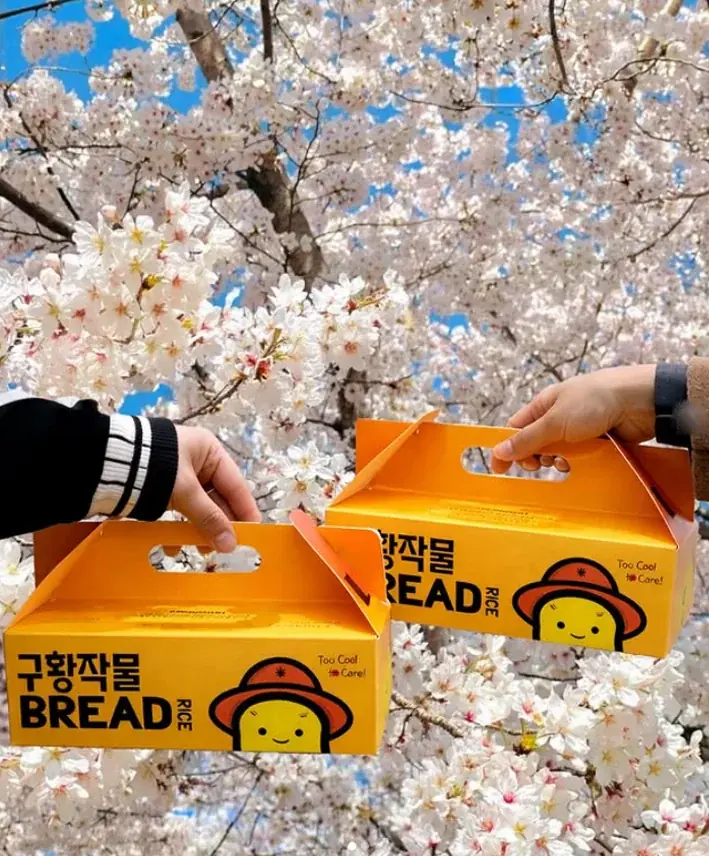 日本各地で行列が途切れない人気のジョンナンミミョンガ。この春も新宿でPOPUP開催予定🌸韓国のオモニの手仕事による「グルテンフリー×スイーツ野菜」のやさしい味わいをお楽しみください！ 画像 8