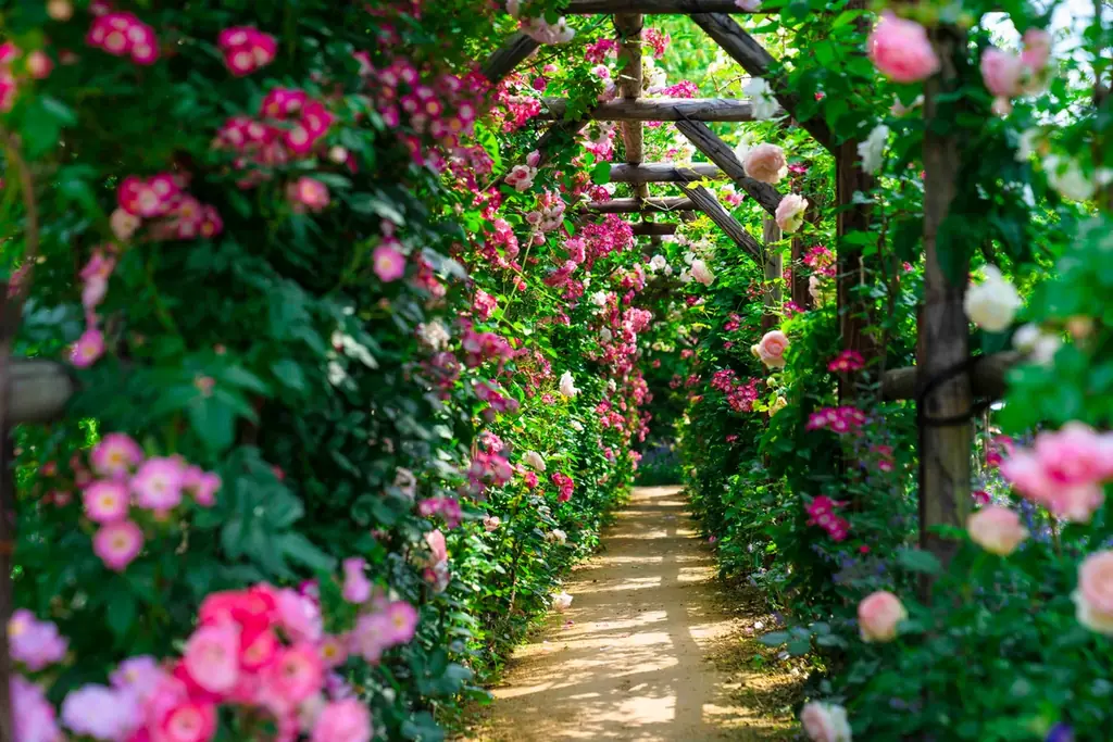 【ロイズ】母の日にスイーツの花束を。新商品「ロイズセレクション[スイートローズ]」を4月15日に発売。 画像 3