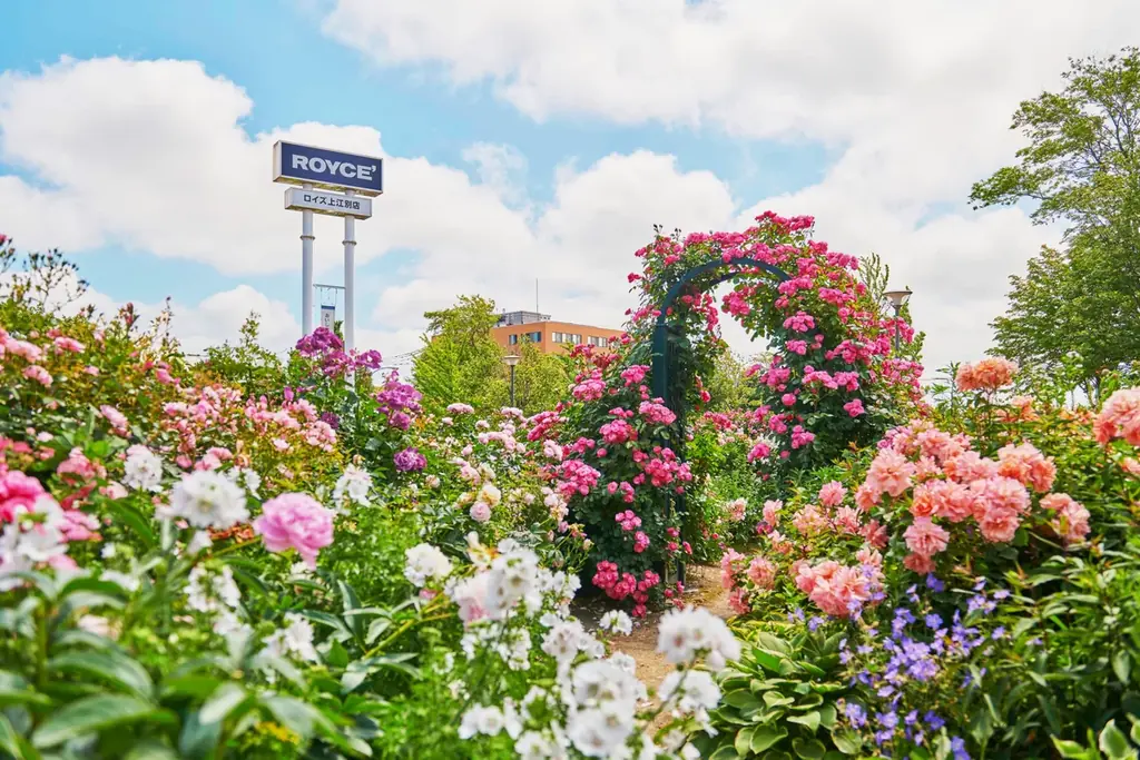 【ロイズ】母の日にスイーツの花束を。新商品「ロイズセレクション[スイートローズ]」を4月15日に発売。 画像 4