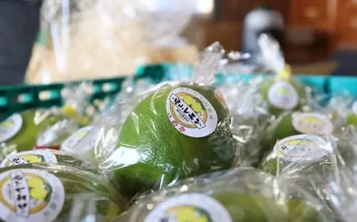 中洲「GRANADA SUITE on À TABLE」毎年人気のスイーツ　九州素材の魅力を味わうかき氷２種が新登場 画像 4