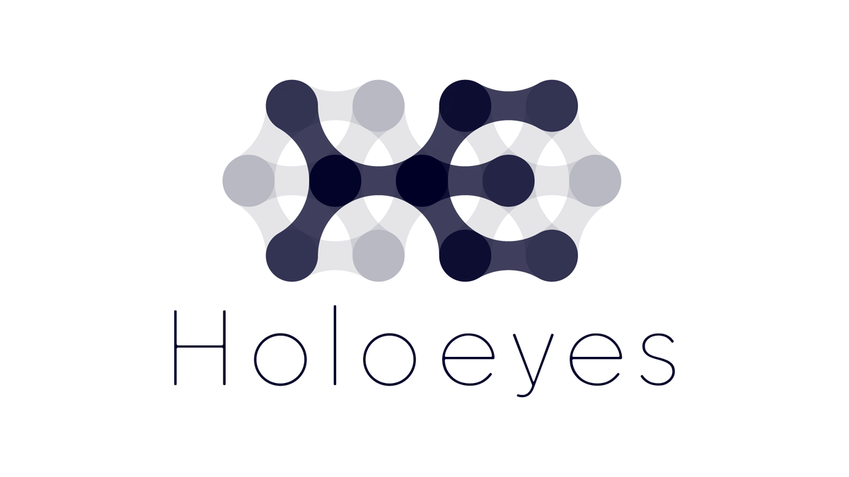 医療用画像処理ソフトウェア「Holoeyes MD」ユーザー専用サービスサイトに「チュートリアル」ページを新設 画像 6