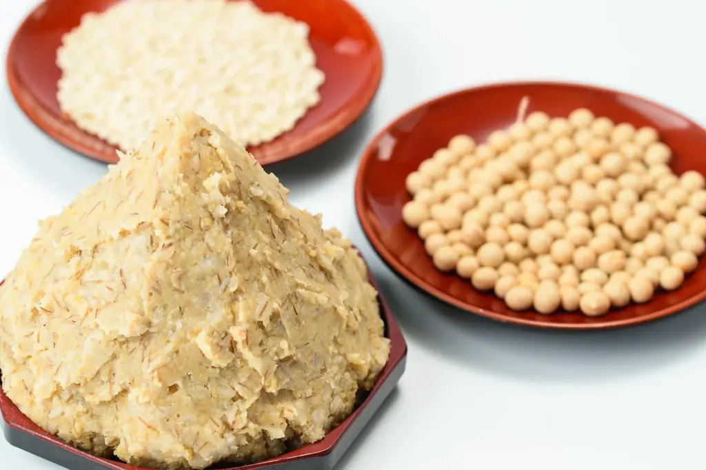 【期間限定】母の日向けの返礼品ギフトの特集ページ公開！ 鹿児島県出水市のふるさと納税に登場 画像 3