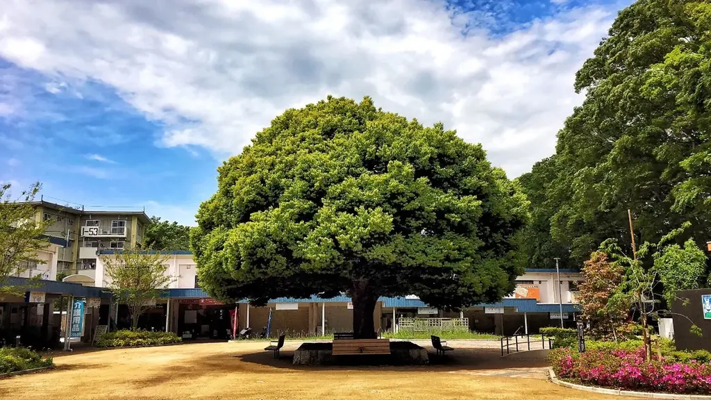 松戸市内の魅力的な建物やまち並み6作品が決定！ 画像 5