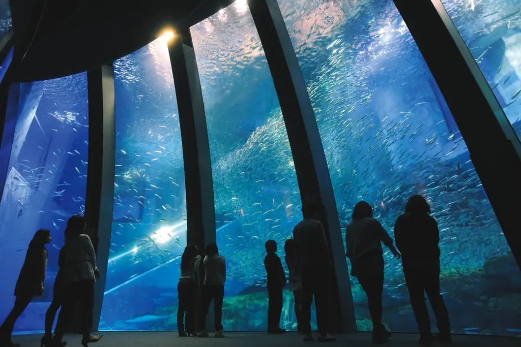 【横浜・八景島シーパラダイス】遊園地エリアだけでなく園内がマツケンだらけに。夢に出てくるようなコラボ企画『マツケンまみれゆうえんち』【２０２６年４月１７日（金）～５月７日（木）】 画像 9
