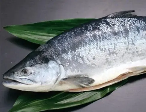 母の日限定セール！対象商品 最大20％OFF！とれたてねっと「母の日キャンペーン」開催決定！ 〜いつもは言えない“ありがとう”を、とっておきの”ごちそう”で〜 画像 3