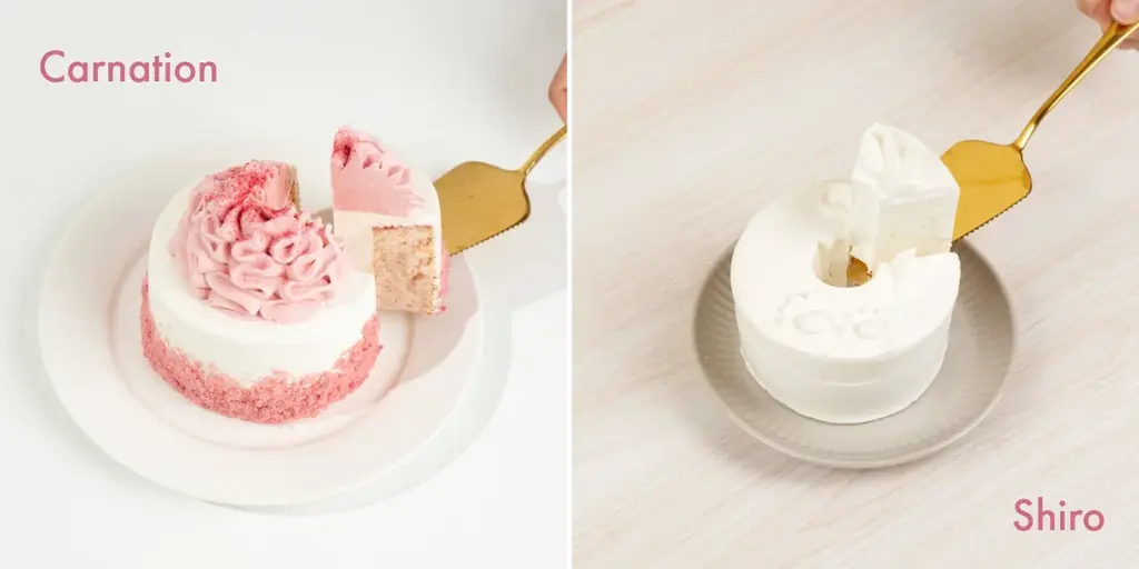 母の日も愛犬と一緒に。Paw&meよりケーキセット『Family【mother’s day】』が新発売 画像 2