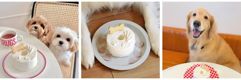 母の日も愛犬と一緒に。Paw&meよりケーキセット『Family【mother’s day】』が新発売 画像 3