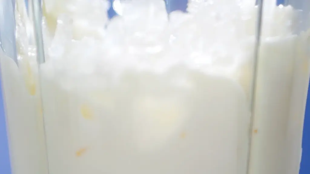 横浜バニラ、「塩バニラシェイク」が待望の復刻！横浜高島屋ベーカリースクエアにて期間限定販売！ 画像 3