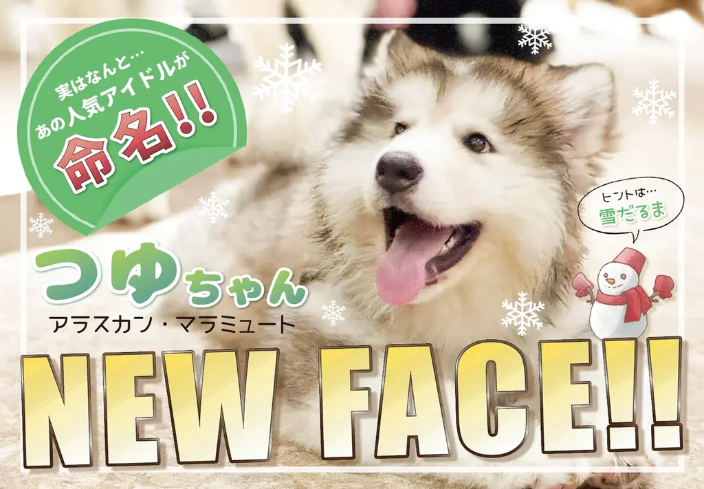 ゴールデンウィークは、デックス東京ビーチで家族みんなで一緒に記念撮影！「DECKS G.W. FESTA 2026」 画像 5