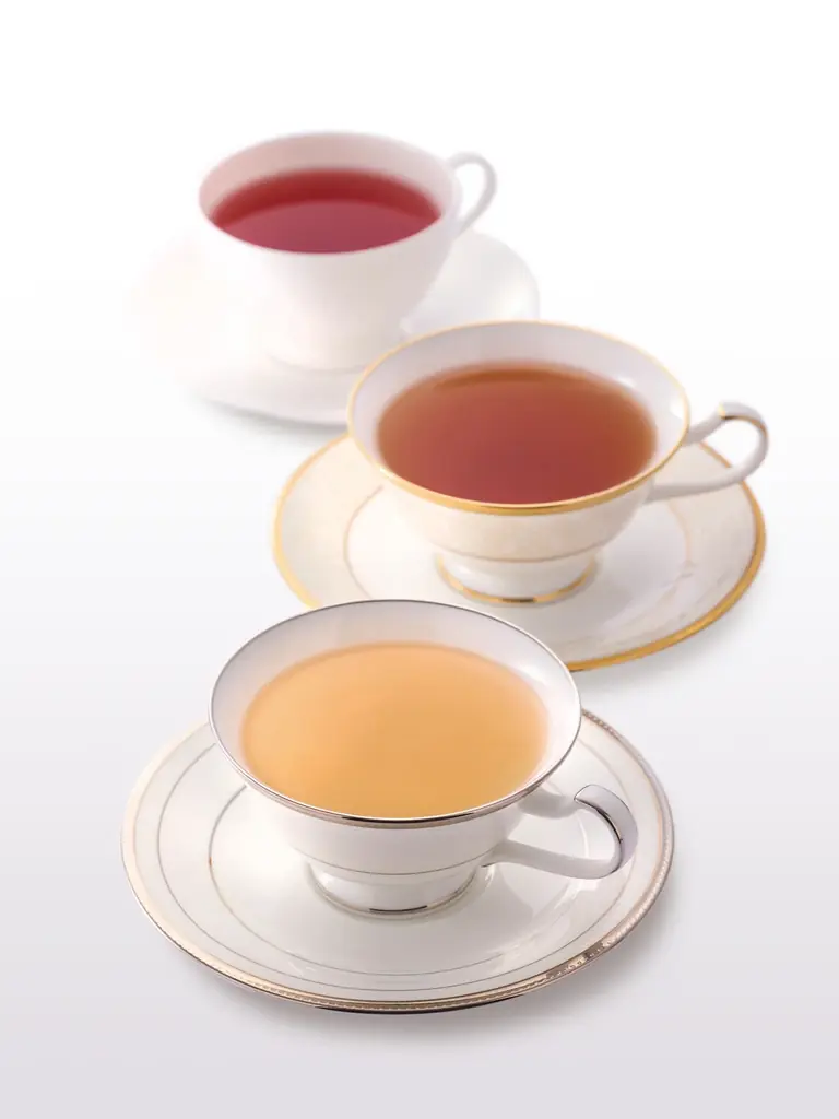 重要文化財 東京駅丸の内駅舎の歴史的質感をそのまま体感出来るカフェ「TOKYO STATION CAFE -THE NORTH DOME-」2026年4月21日(火）東京駅丸の内北ドーム内にオープン！ 画像 4