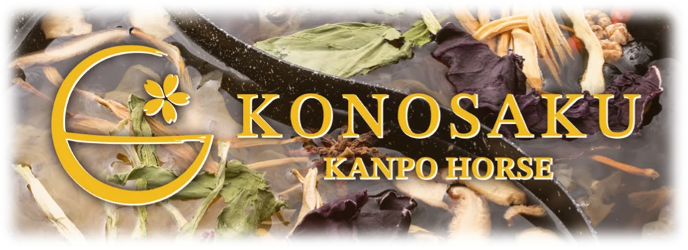 KONOSAKUオープン