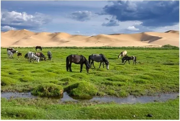 馬肉と漢方でからだ整える鍋『KONOSAKU』〜 かわいいピンクに秘められた、本格和漢食材の実力 〜 画像 3