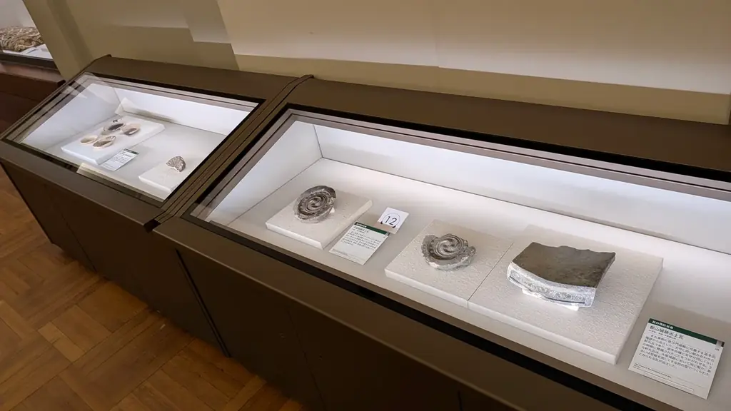 NHK大河ドラマ特別展「豊臣兄弟！」開幕！白石聖さんが観覧。 画像 5