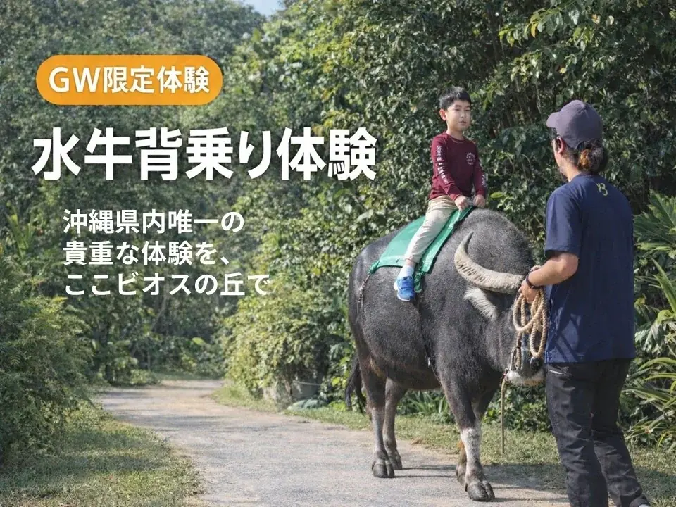 ビオスの丘 らんの花祭り うりずん2026「らんの舞」 画像 3