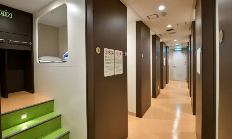 【東京九州フェリー利用】ミドル世代応援！片道から利用OK!5・6月乗船のお得な「東京九州フェリー アーリーサマーチケット」発売開始！ 画像 3