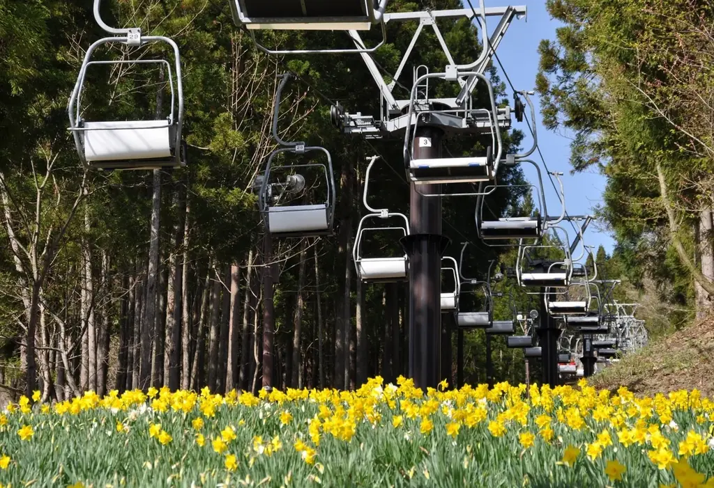 【地元再発見】GWは「近場」で感動体験。100万株のスイセンが咲き誇る「ノルンみなかみフラワーガーデン」が開園。愛犬との空中散歩や宝石探しが楽しめる「山遊び」の新定番。 画像 3