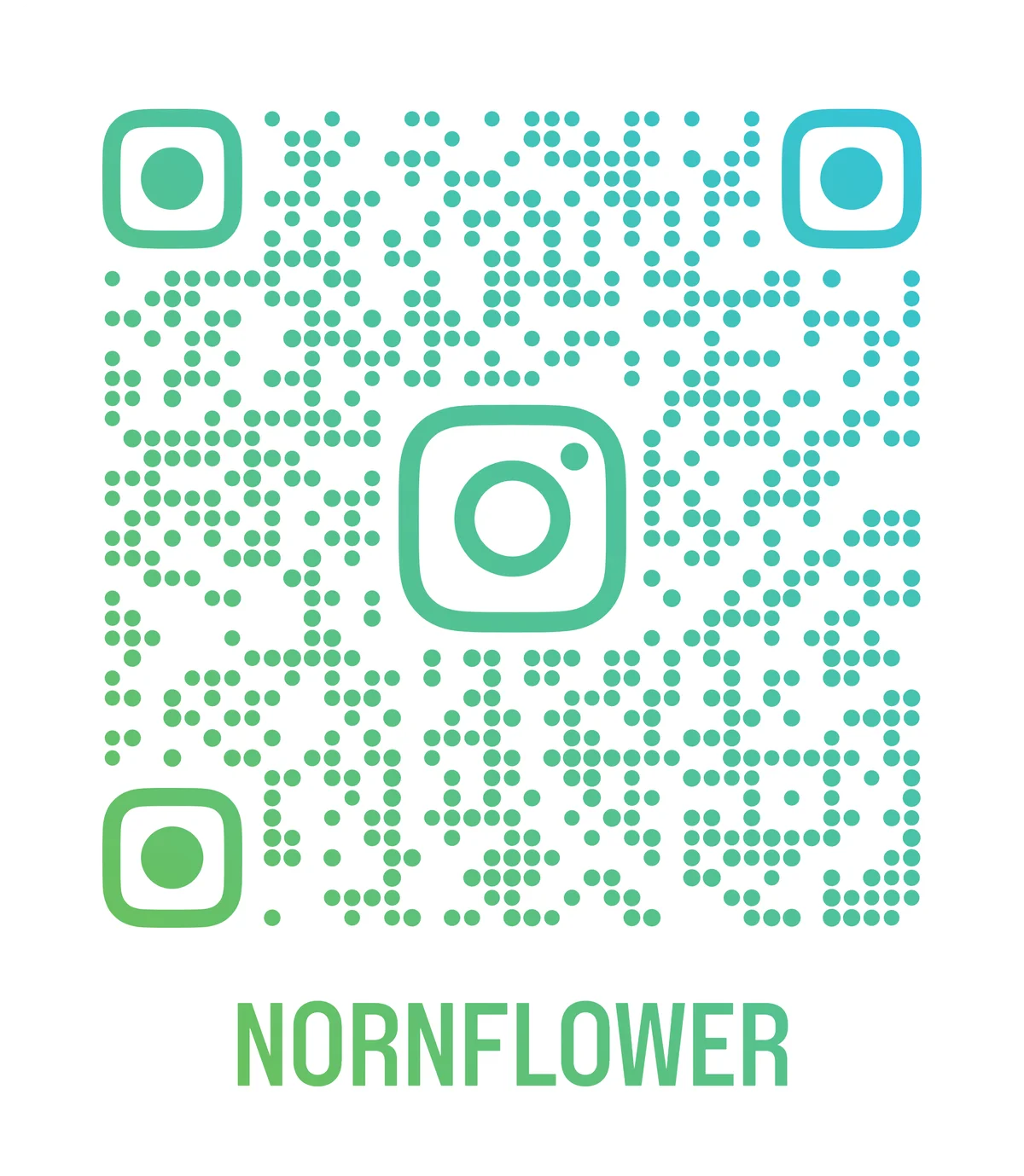 【地元再発見】GWは「近場」で感動体験。100万株のスイセンが咲き誇る「ノルンみなかみフラワーガーデン」が開園。愛犬との空中散歩や宝石探しが楽しめる「山遊び」の新定番。 画像 8