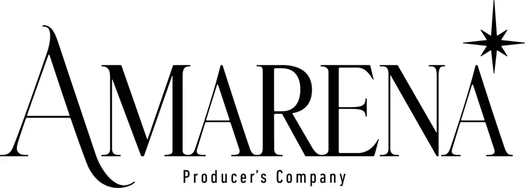 物語構築の社会実装を目指す「ライターズルームラボ」発足 画像 3