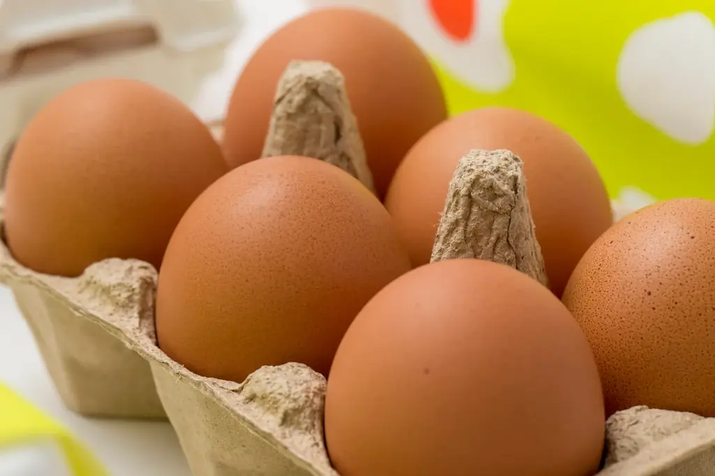 佐賀国際空港内「sagair(サガエアー)」オープン5周年記念イベントを実施! 画像 2