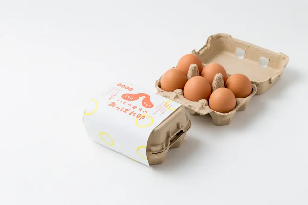 佐賀国際空港内「sagair(サガエアー)」オープン5周年記念イベントを実施! 画像 4