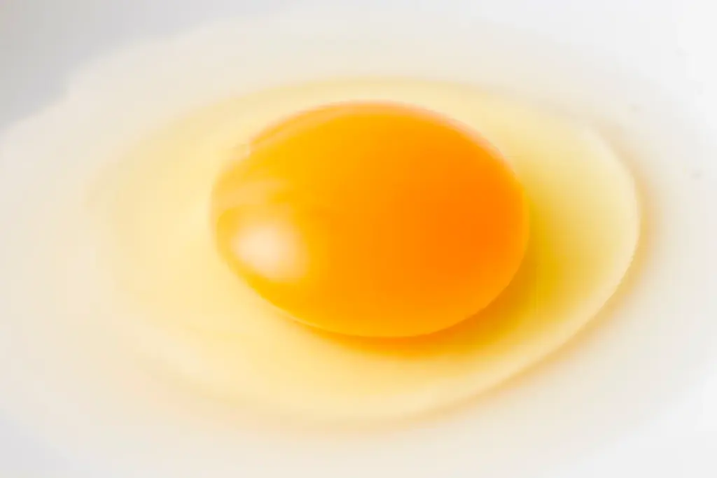 佐賀国際空港内「sagair(サガエアー)」オープン5周年記念イベントを実施! 画像 5