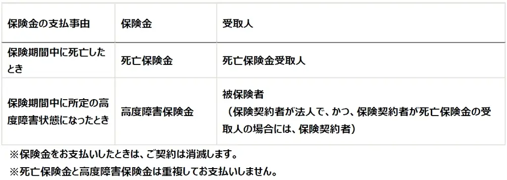 新たな変額保険ラインナップ 「変額終身」を発売 画像 3
