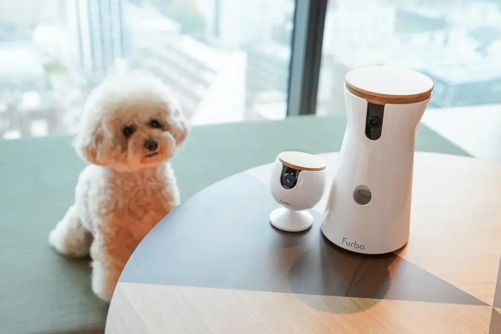 ”街ナカ”ホテル「OMO」が「愛犬都市旅宣言」を発表。愛犬と身軽に都市を楽しむ新たな旅を提案 画像 4