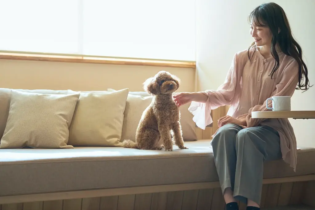 ”街ナカ”ホテル「OMO」が「愛犬都市旅宣言」を発表。愛犬と身軽に都市を楽しむ新たな旅を提案 画像 6