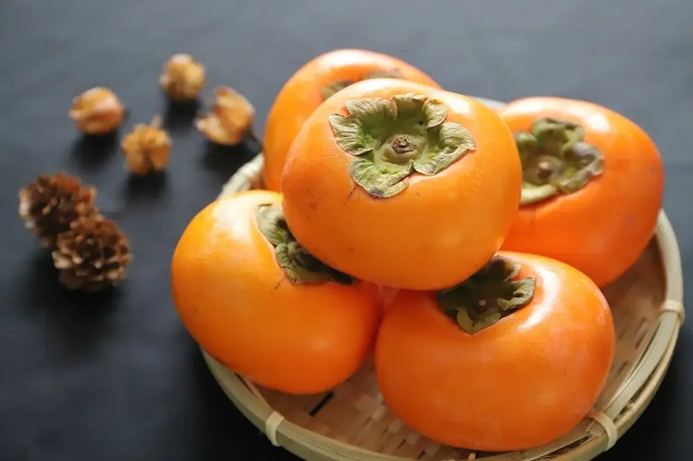 「新潟らーめん 無尽蔵」Instagramフォロワー1万人突破！抽選で100名様に“お好きならーめん一杯無料”キャンペーン開催 画像 4