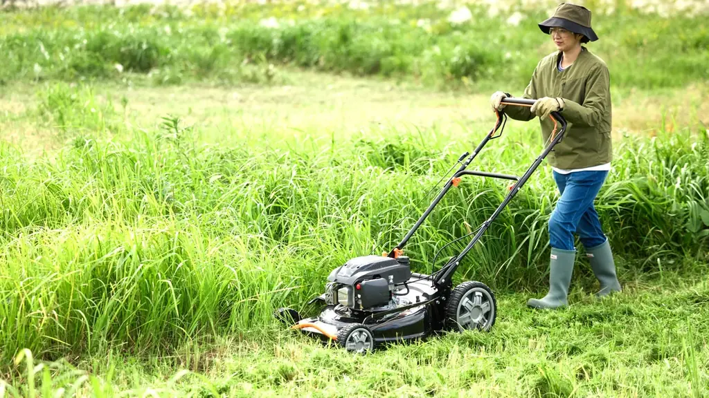 ヒットの理由は “押さないラクさ” 進化した2026年モデル、ついに販売開始 画像 2