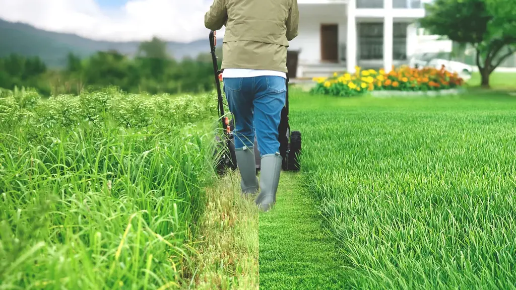 ヒットの理由は “押さないラクさ” 進化した2026年モデル、ついに販売開始 画像 7