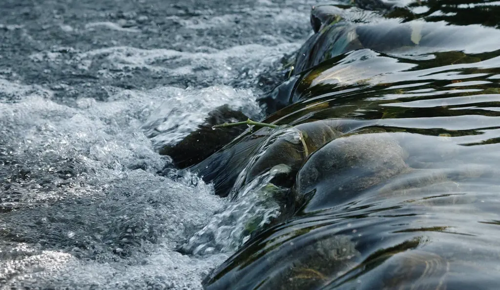 この世に1樽しかないジャパニーズウイスキーのカスクオーナーを募集「Cask #1046」を販売開始 画像 5