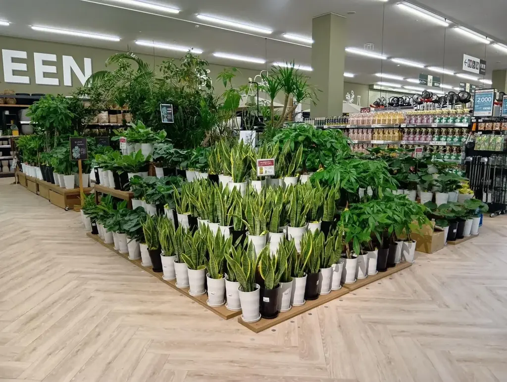 カインズ 小田原店 4月25日（土）いよいよグランドオープン！ 画像 8