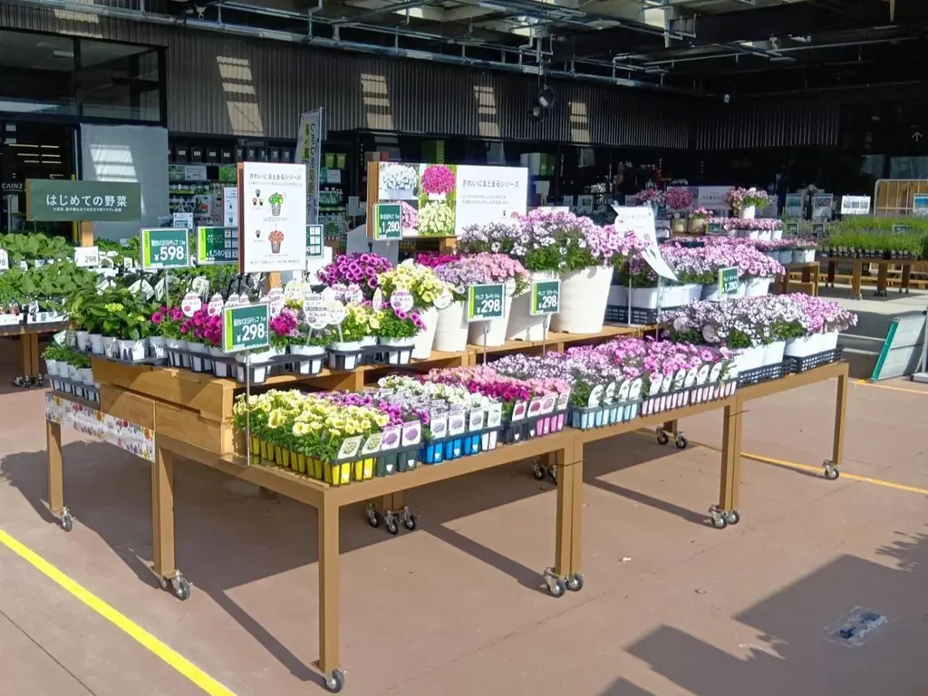 カインズ 小田原店 4月25日（土）いよいよグランドオープン！ 画像 9