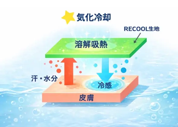 猛暑対策は“着る時代”へ 汗を冷却エネルギーに変える「冷感チェンジTシャツ」新発売 画像 2