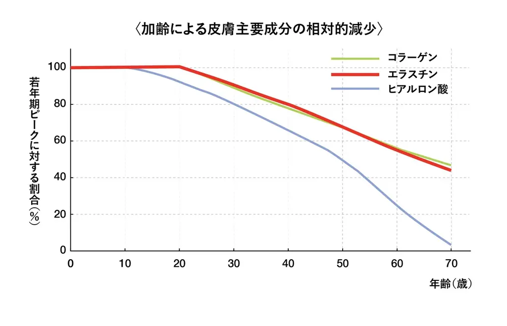 紫外線がシミだけでなく肌弾力を奪う理由 画像 3