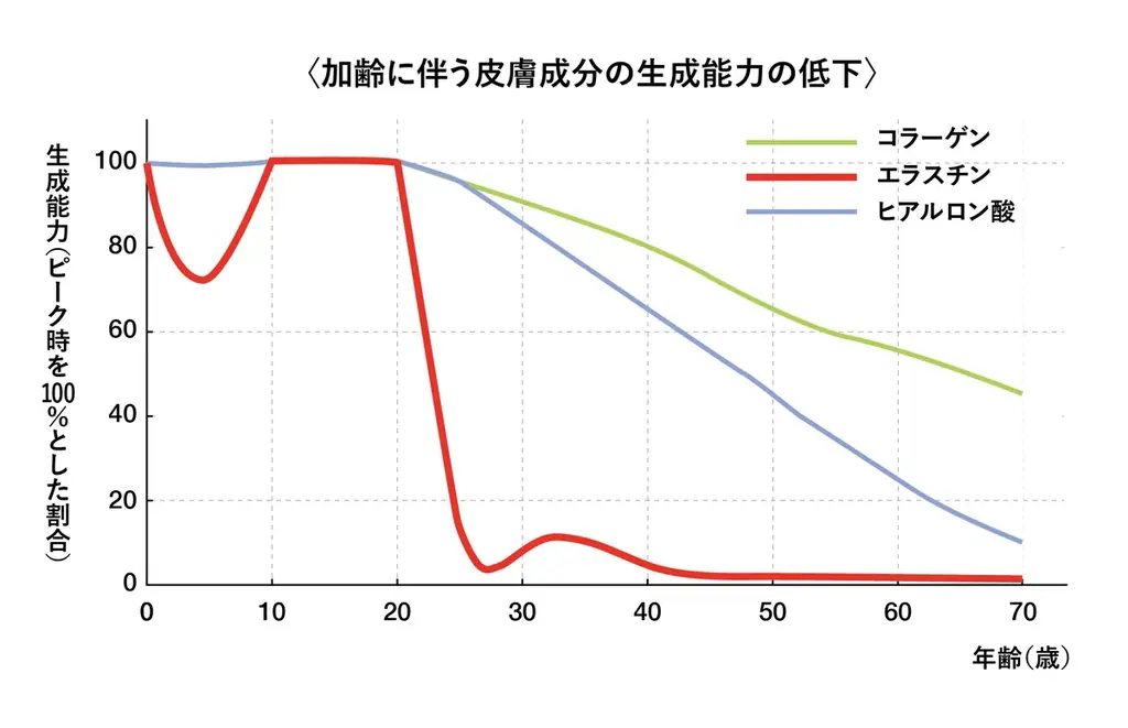 紫外線がシミだけでなく肌弾力を奪う理由 画像 4