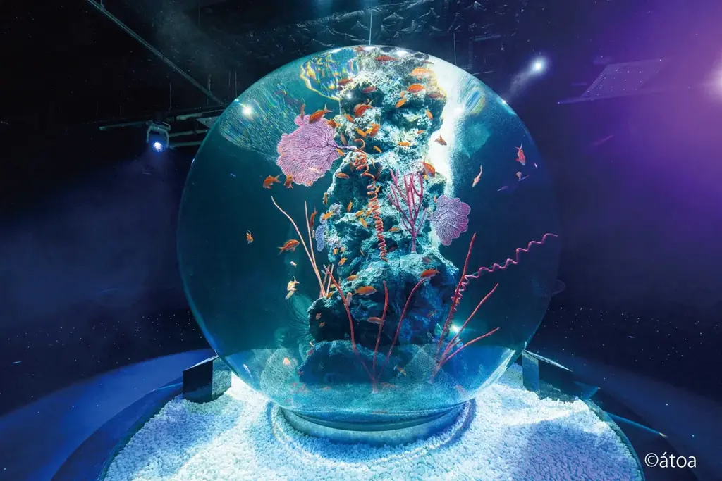 【神戸メリケンパークオリエンタルホテル】神戸初！幻想的な都市型水族館「átoa」で花束サプライズ　大切な人との記念日を彩る“アニバーサリーステイプラン”販売 画像 1