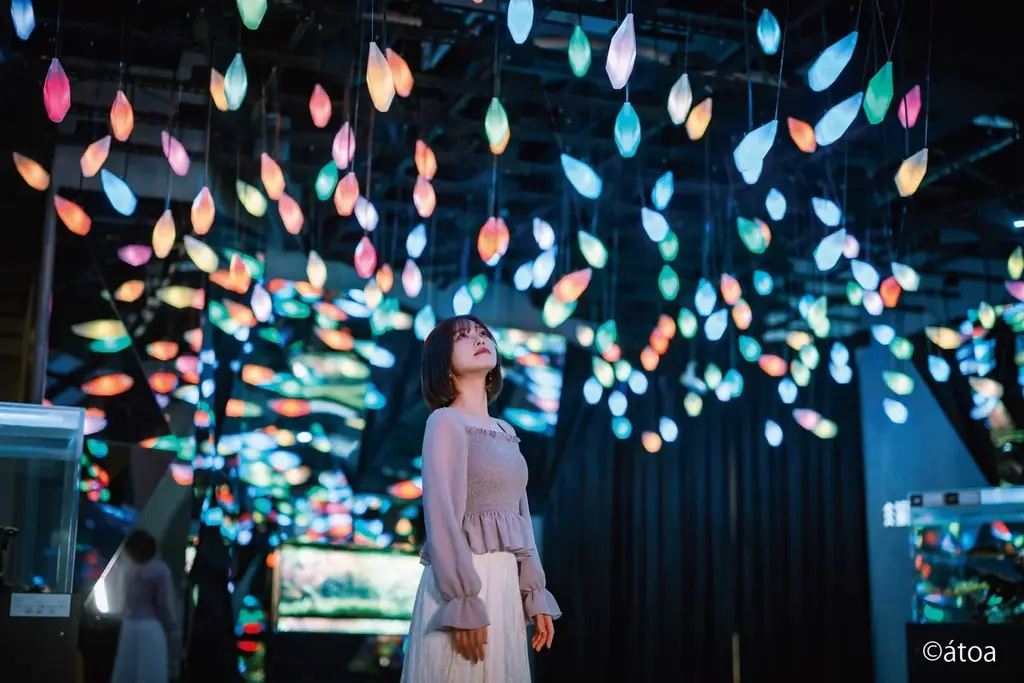 【神戸メリケンパークオリエンタルホテル】神戸初！幻想的な都市型水族館「átoa」で花束サプライズ　大切な人との記念日を彩る“アニバーサリーステイプラン”販売 画像 6