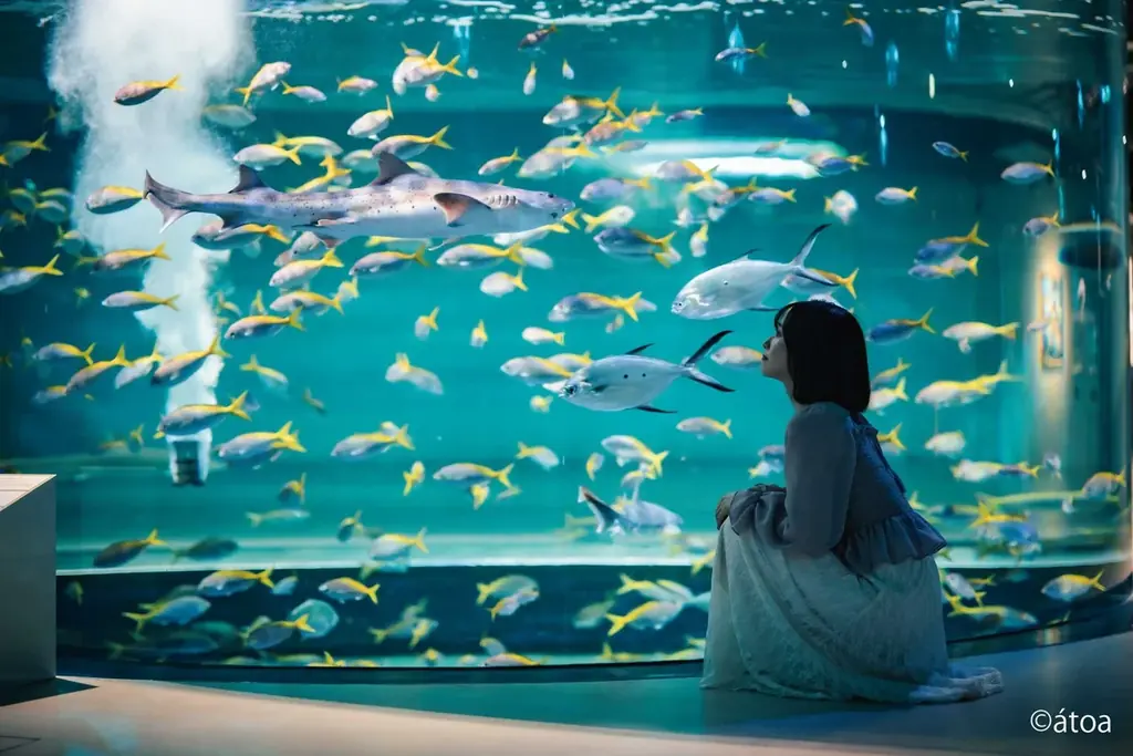 【神戸メリケンパークオリエンタルホテル】神戸初！幻想的な都市型水族館「átoa」で花束サプライズ　大切な人との記念日を彩る“アニバーサリーステイプラン”販売 画像 7