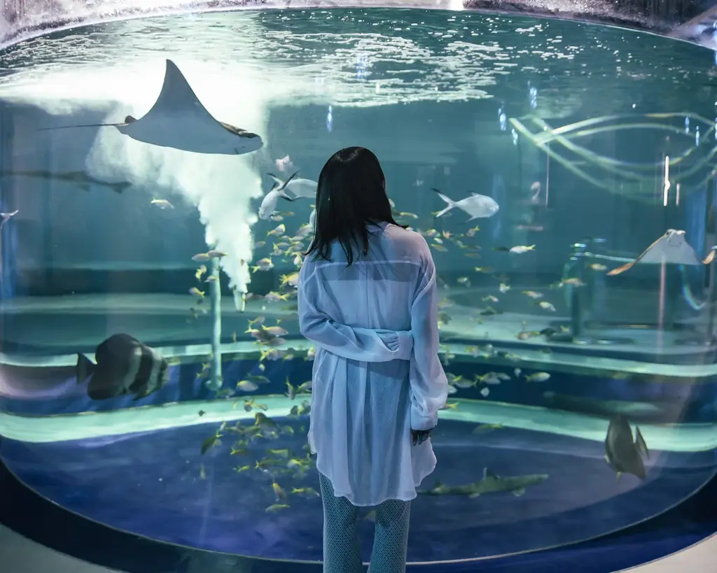 《周年記念企画》 彩る花と幻想のアクアリウムを愉しむアトア×神戸メリケンパークオリエンタルホテル 画像 6