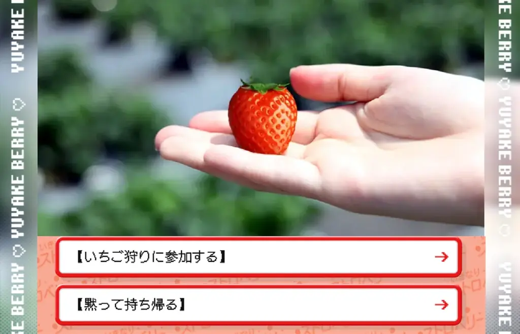 🍓ゴールデンウィークはいちご狩り🍓SNSに写真投稿でプレゼントがもらえる！県内の観光いちご園でフェアを開催します 画像 6