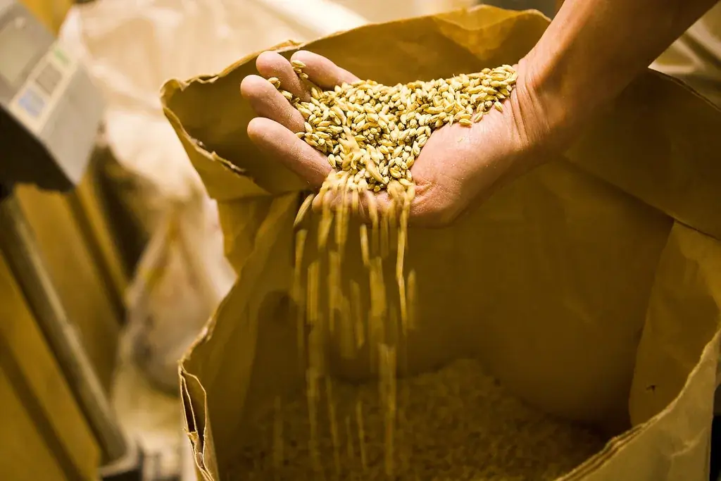 サンクトガーレン、母の日限定のフルーティーな白ビール「母の日ヴァイツェン」を4月24日発売。保護猫モデルの黒猫ラベル、カーネーションセットも 画像 2