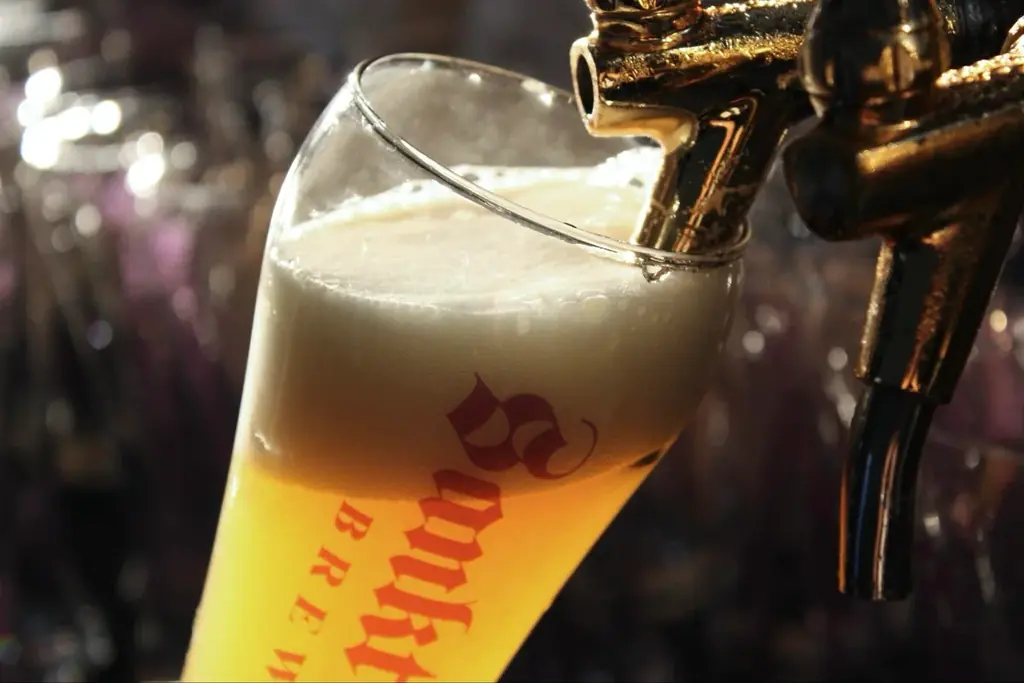 サンクトガーレン、母の日限定のフルーティーな白ビール「母の日ヴァイツェン」を4月24日発売。保護猫モデルの黒猫ラベル、カーネーションセットも 画像 3