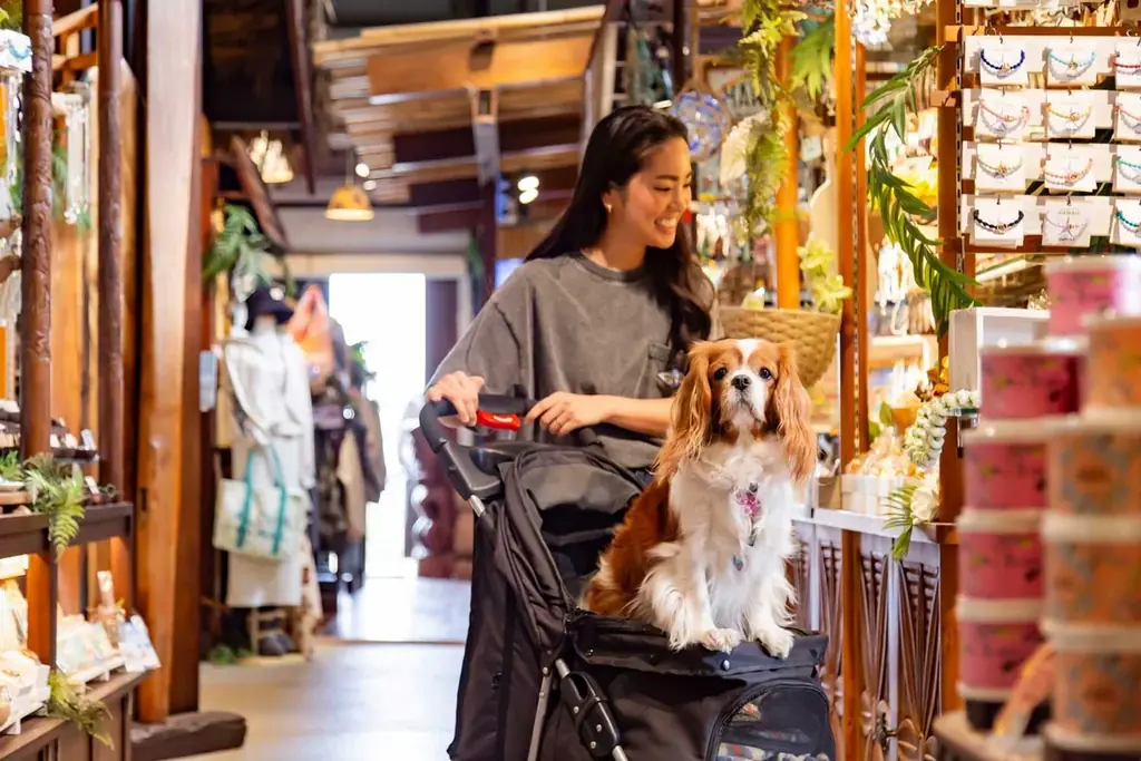 GWのお出かけに。都心からすぐ、木更津アウトレットの目の前で味わうハワイ気分「ALOHA TERRACE」 画像 16