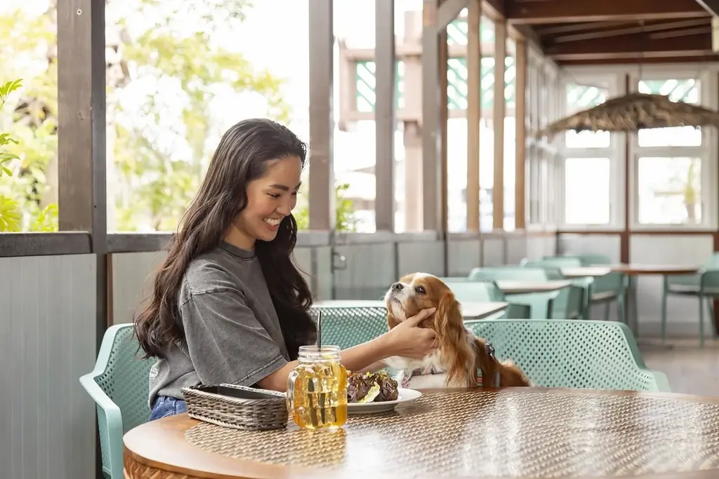 GWのお出かけに。都心からすぐ、木更津アウトレットの目の前で味わうハワイ気分「ALOHA TERRACE」 画像 5