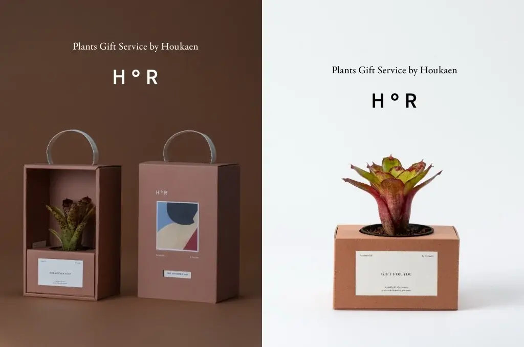 【阪急うめだ本店】他に類を見ない希少品種から新株まで。“アートな植物” ビカクシダや希少植物が大阪・梅田に集結します 画像 4