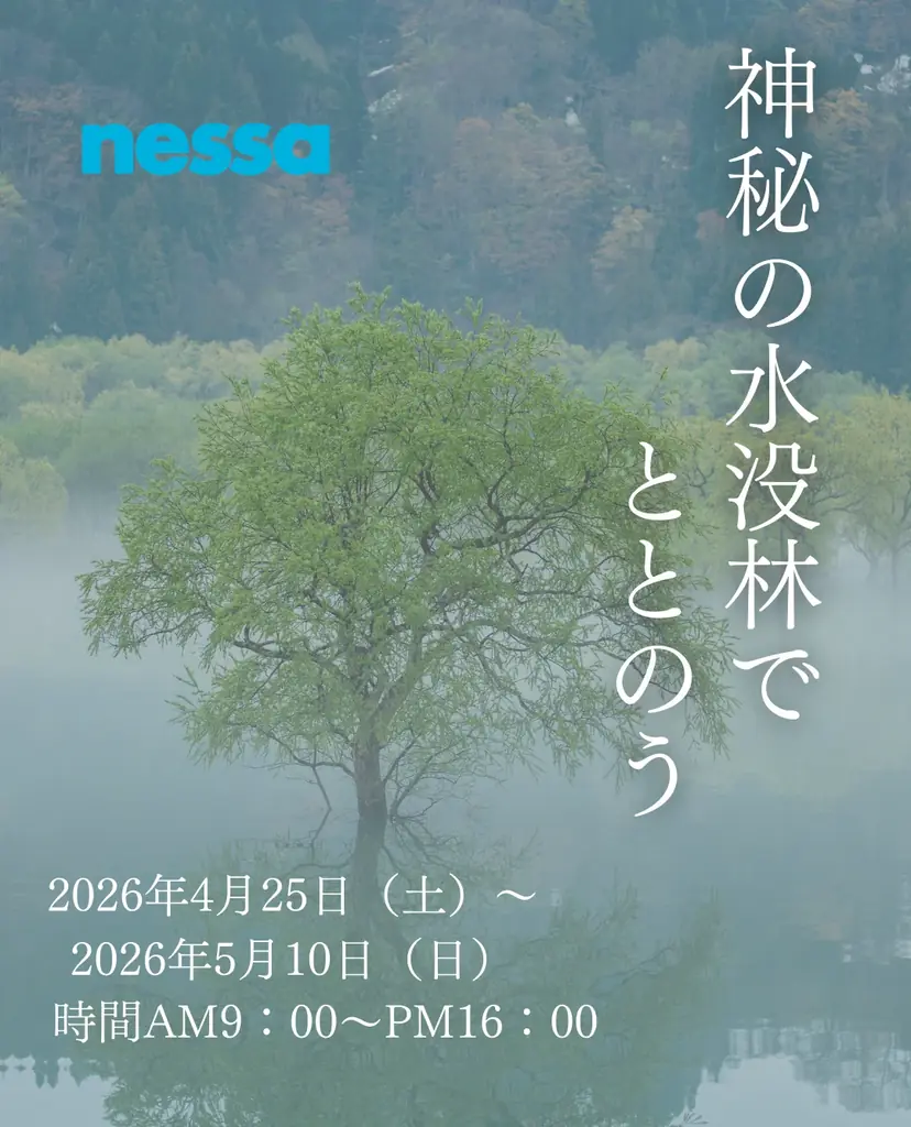 春限定の絶景「白川湖の水没林」で究極のサステナブル・サウナ体験！水没林の“間伐材”の薪で「絶景と一体化する」極上のととのい空間を提供 画像 1
