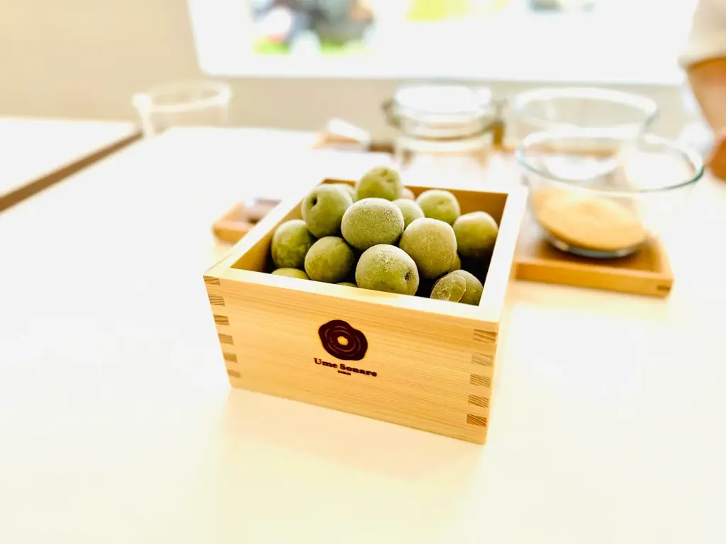 【JAF茨城】茨城で梅を味わう、初夏の梅ドリンク仕込み体験イベント「JAFデー in Ume Sonare OARAI」をJAF会員向けに開催 画像 2