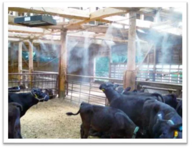 防疫・暑熱・鳥獣害対策から、人手不足による省力化まで。畜産専門展示会「九州 畜産資材EXPO」 5月27日（水）より開催 画像 2